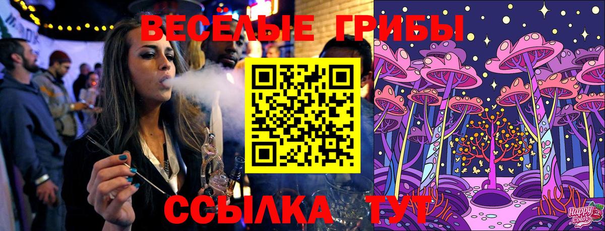 Галлюциногенные грибы Psilocybine cubensis Дзержинск